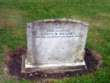 image of grave number 335733